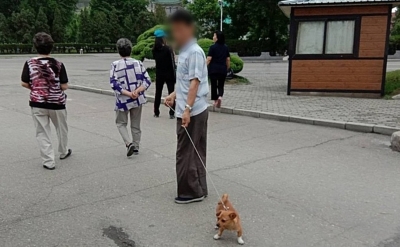 В КНДР начали бороться с «буржуазной практикой» содержания декоративных собак дома — Daily NK